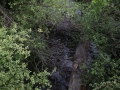 IMG_0010-2